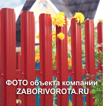   zaborivorota  -