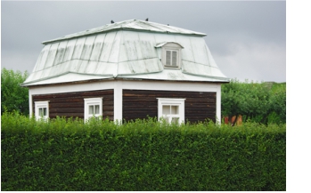 Живая изгородь